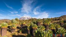 Treking Kilimanjaro 5895 m
