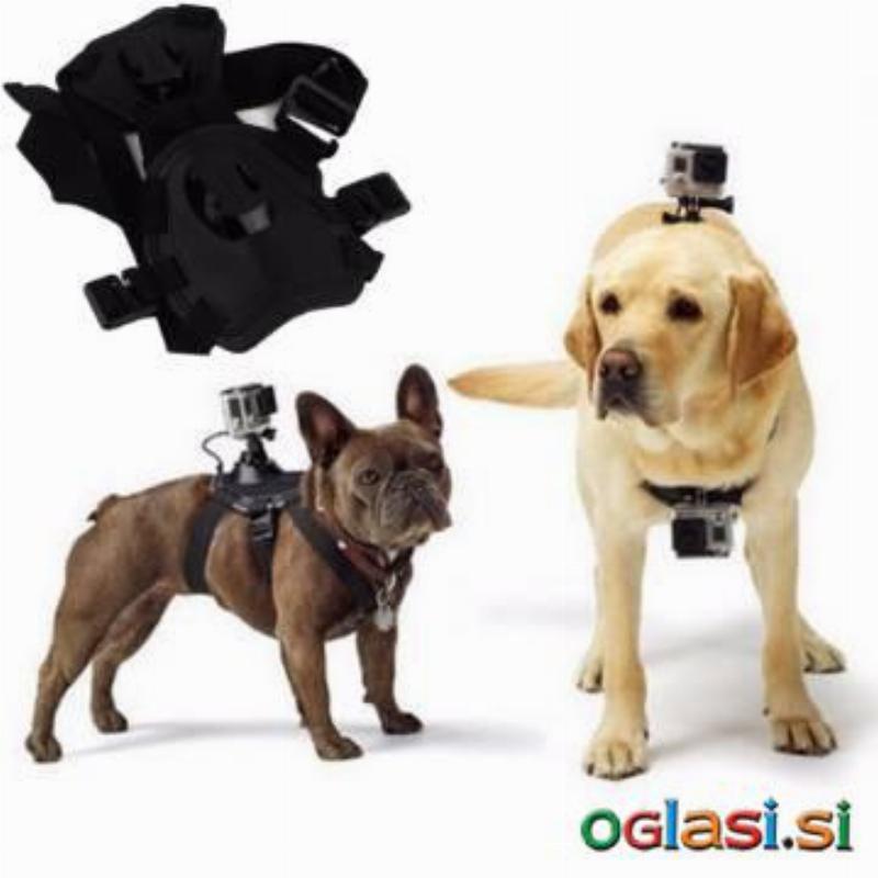 Pas za psa za GoPro