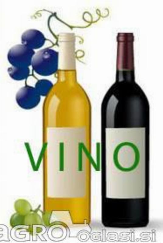 Vino barbera in merlot