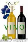 Vino barbera in merlot