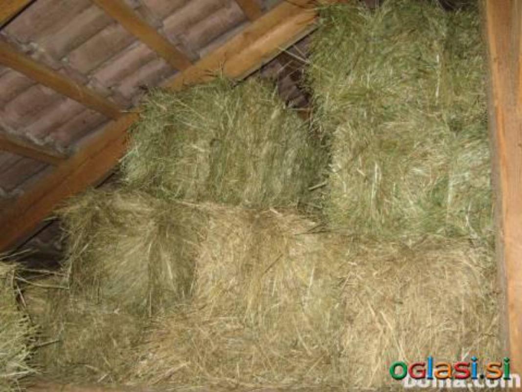 Prodam kvadratne bale sena