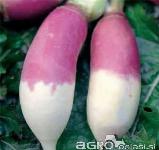 REPA za krmo ali kisanje