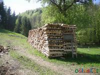 Mešana drva