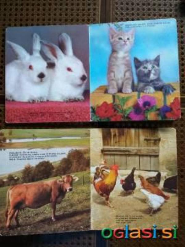 Knjiga OTROŠKA KARTONKA: 2kos, DOMAČE ŽIVALI