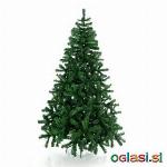 Novoletna smreka colorado višine 210 cm