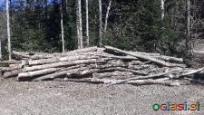 Drva mešana dolžine 1m