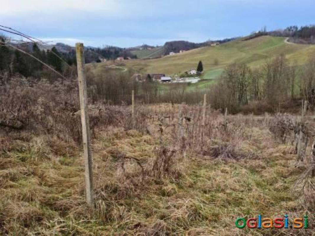 Betonski vinogradniški stebri