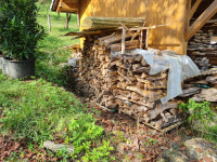 Brezova drva
