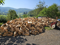 Bukova  drva