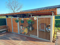 PESJAK Z VRTNO LOPO-ZELO UGODNO- 1300 eur CENEJE