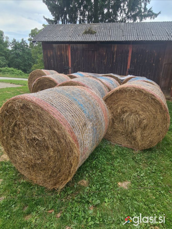 Okrogle bale sena