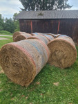 Okrogle bale sena