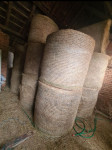 Okrogle bale sena