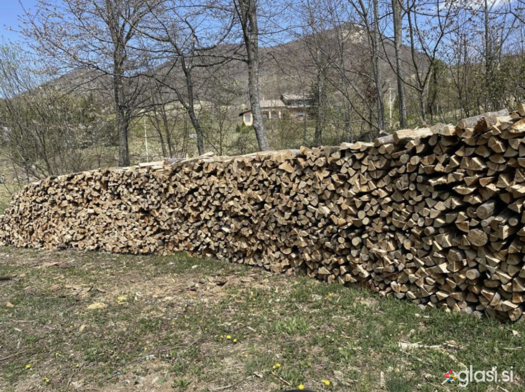 Suha bukova drva