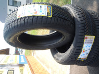 ATLANDER 215/55R17 98W LANDER ALLSEASON ATL55 XL M+S DOSTAVA
