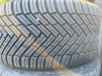 Zimske gume 205/55R17 95V Nexen Winguard Sport 3 XL EV 3PMSF