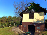 Vikend, vinograd in gozd