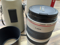 Canon EF 100-400 f/4.5-5.6L IS USM