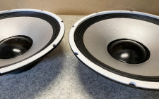 Zvočnik Woofer 15, 8 ohm