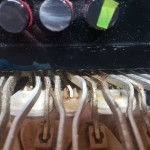 SERVIS VSEH ZNAMK DITONIČNIH HARMONIK