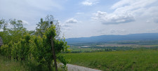 Krško Libna