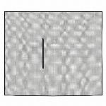 Univerzalni komarnik za strešno okno mreža proti komarjem 140x120cm črna