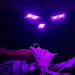 id-1004 Žarnica 108 LED UV za vzgojo rastlin 8W E27