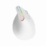Ergonomska vertikalna brezžična miška RGB 1600DPI