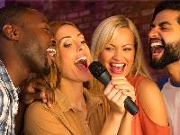 Brezžični karaoke sistem - brezžični mikrofon