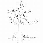 Moderna stropna nadometna LED svetilka 24W črna 26cm