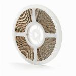 Set RGB LED trak 10m detektor gibanja in upravljalec IP44 Brilite