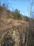 Istra, kmetijsko zemljišče 3.000 m/2