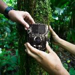 Brezžična IR prenosna gozdna lovska kamera LCD 16Mpx FULL HD