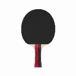 Komplet loparjev za namizni tenis z mrežico