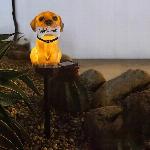 Solarna LED vrtna svetilka psiček welcome 41cm 2W