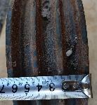 Jermenica  za klinasti jermen 3 X 17 fi 200