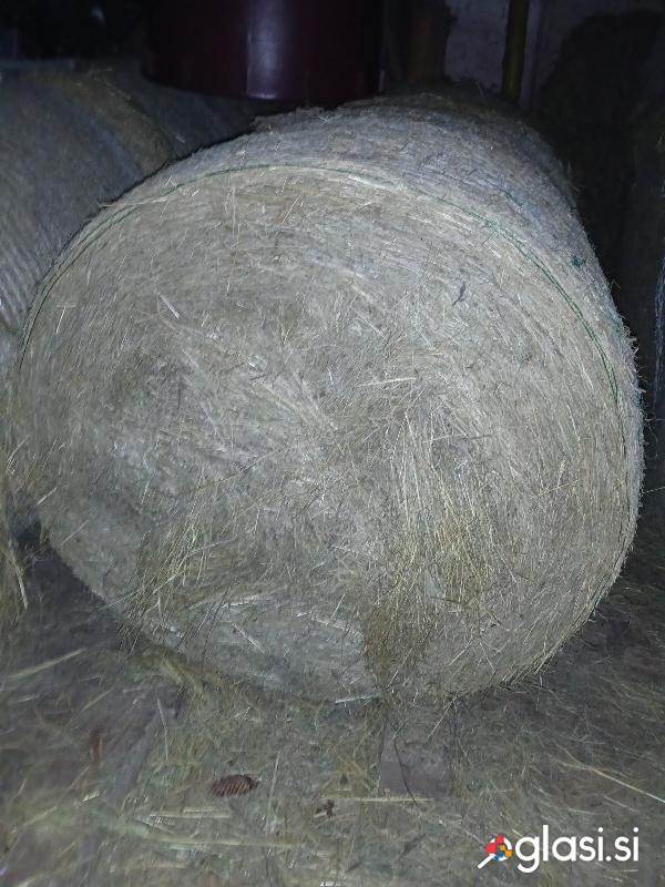 Bale suhe