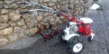 Honda F- 600