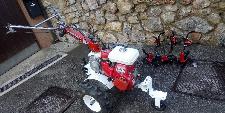 Honda F- 600