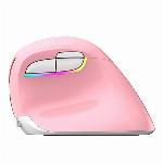 Wifi BT ergonomska vertikalna brezžična miška RGB 4000DPI roza