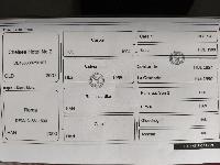 Prodam konja pasme Oldenburg