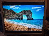 Monitor Samsung  SyncMaster 913n + oba kabla