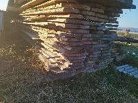 Prodam les za gradnjo