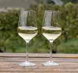 Vino belo, polsladko