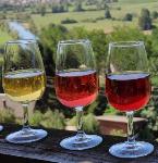 Vino rdeče in belo
