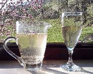 Belo vino