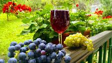 Rdeče vino