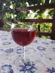 Vino cviček