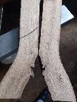 Les hrast suh, 74x6x2 cm, 1 kos 2, 2 kosa 3€