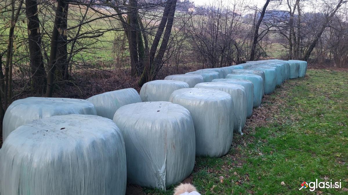 Silažne bale- sejani travniki sp.savinjska-Žalec